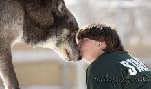 7657_std-220x130.jpg 7657_std-220x130.jpg