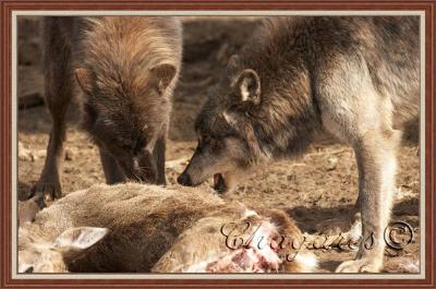 8160_std-400x265.jpg 8160_std-400x265.jpg