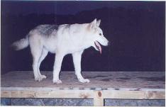 Apache_Matlock-234x151.jpg Apache_Matlock-234x151.jpg