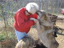 GetAttachment20-210x157.jpg GetAttachment20-210x157.jpg