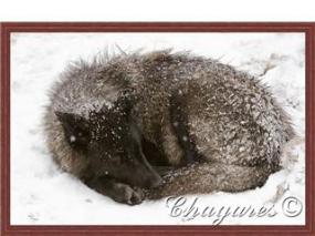 GetAttachment3-285x213.jpg GetAttachment3-285x213.jpg