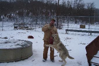 MarkandPolaris-340x226.jpg MarkandPolaris-340x226.jpg