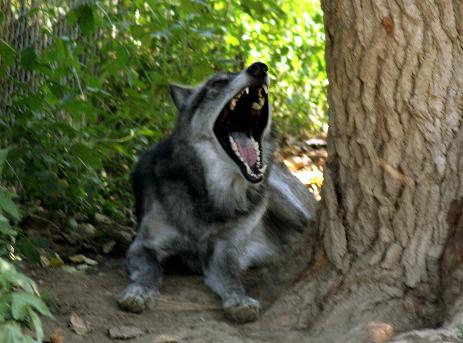 Tim_Chris_024-463x343.jpg Tim_Chris_024-463x343.jpg