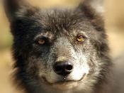 Tim_Chris_159-175x131.jpg Tim_Chris_159-175x131.jpg