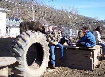 bondingtime-342x249.jpg bondingtime-342x249.jpg