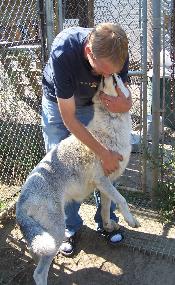 getting_woffy_kisses-175x285.jpg getting_woffy_kisses-175x285.jpg