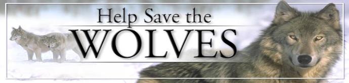 helpsavethewolves-690x165.jpg helpsavethewolves-690x165.jpg