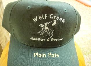 plainhat-315x230.jpg plainhat-315x230.jpg