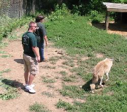 rickinhabitat-250x222.jpg rickinhabitat-250x222.jpg