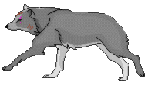 running_wolf-148x89.png