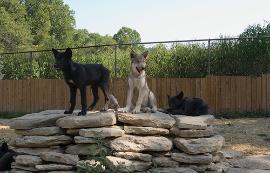 the_kids-270x173.jpg the_kids-270x173.jpg