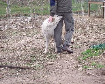 upclose_and_personal-364x291.jpg upclose_and_personal-364x291.jpg