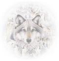 wolf2-120x123.jpg