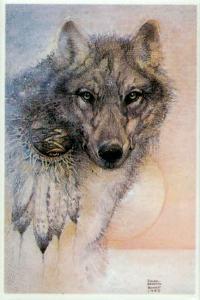 wolfspirit-200x300.jpg