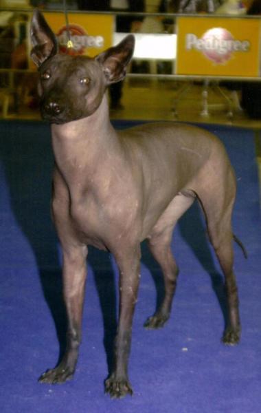 index 3.jpg index 3.jpg