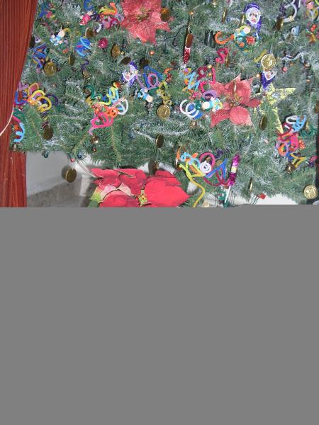 Virgilio navidad.jpg