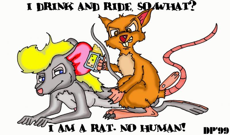 RATMOUSE.JPG.800x470.jpg RATMOUSE.JPG.800x470.jpg