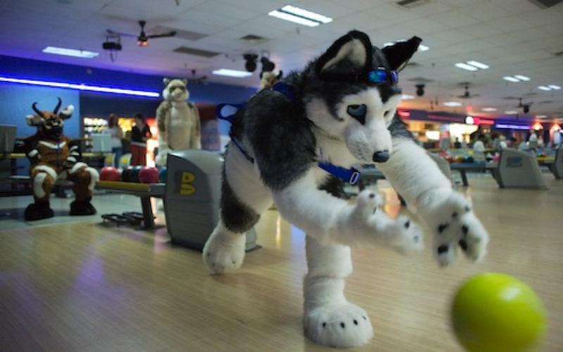 Shortwave-Wallpaper.jpg.800x500.jpg Shortwave-Wallpaper.jpg.800x500.jpg