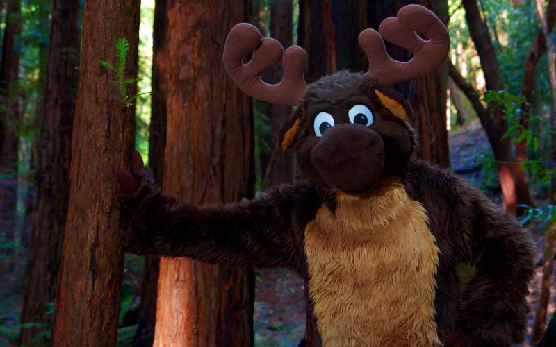 MoosyLeaningOnTree.jpg MoosyLeaningOnTree.jpg