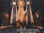 yhst-44278348015314_1904_4598333 Bartlett ferretfacts.gif