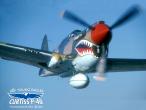 CurtissP40_wallpaper1600.jpg