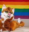 FursuitRainbowWallpaper.jpg
