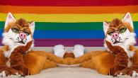 FursuitRainbowWallpaper2.jpg