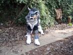 Wolf_Link_Costume_view_1_by_LilleahWest.jpg