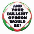 bull opinion.jpg