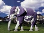 1028_milka.jpg