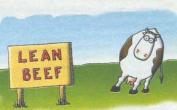 leanbeef.jpg