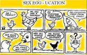 sexeggucation.jpg