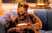 ALF-SEASON-1_SCREEN_2.jpg