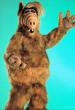 alf.jpg
