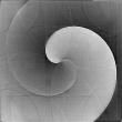 Spiral-2.jpg