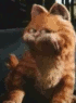GarfieldDance2.gif