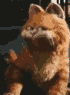 GarfieldDance5.gif