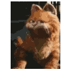 GarfieldDance6.gif