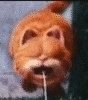 GarfieldMilk.gif