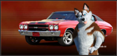 RussChevelle.png
