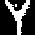 Y-1.png