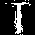 T-2.png