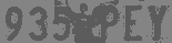 935-PEY.png