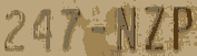 247-NZP.png