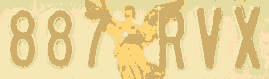 887-RVX.png