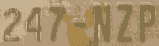 247-NZP.png