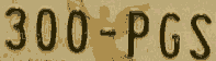 300-PGS.png