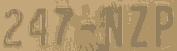 247-NZP.png