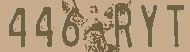 446-RYT.png