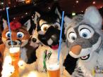 People/Fursuits/2010/09-EF/IMG_4149.jpg